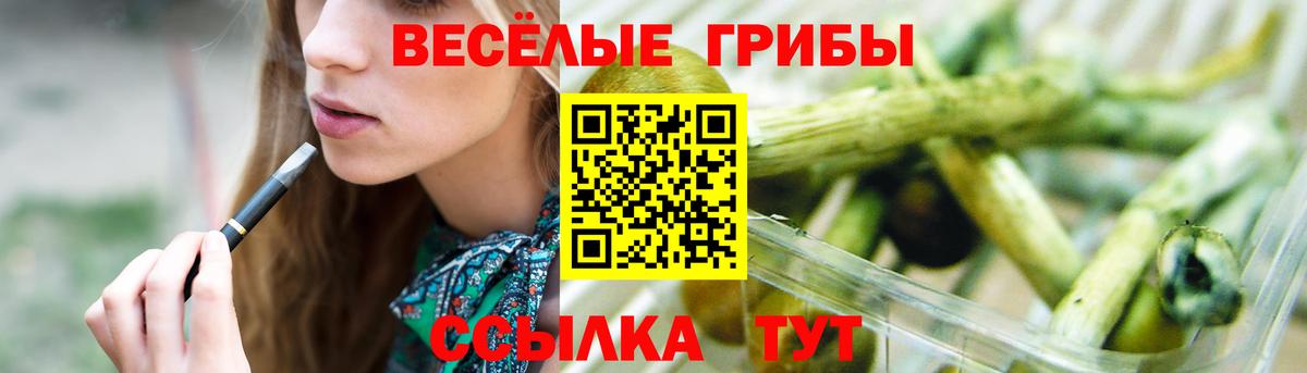 Выкса  Псилоцибиновые грибы Psilocybe  Вход с VPN  наркошоп  Псилоцибиновые грибы Magic Shrooms 